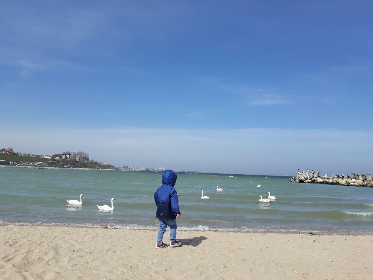 Rima Del Mar Pensión Eforie Nord